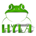 Hylaservice.ru - сайт дилера компании HYLA